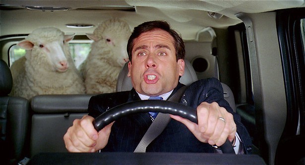 Steve Carell timmert een ark