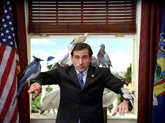 Steve Carell timmert een ark