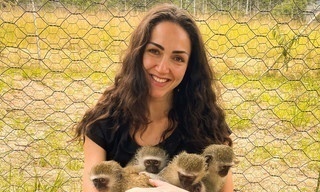 Echtes Leben: Affenretterin ohne Erinnerung - Kann Michi zurück nach Afrika?