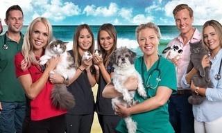 Een dag in de dierenkliniek