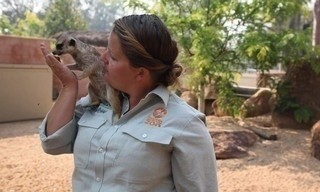 Een dag in de dierentuin