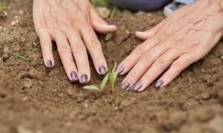 Eva-Maria Westbroek, terug naar de aarde