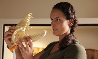 Extinct or Alive: The Tasmanian Tiger