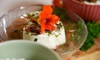 Frischkäse - Cremige Verführung