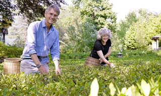 Gärten in den Alpen - Von Überlebenskünstlern, Exoten und Pionieren