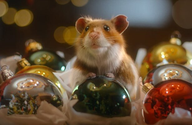 Harry de Hamster
