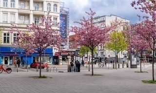 Hamburgs buntester Boulevard - Der Steindamm