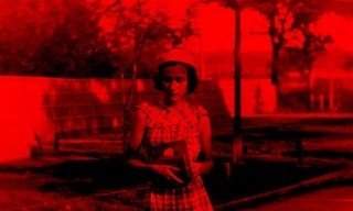 Hitlers Volk - Ein deutsches Tagebuch