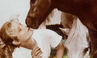 Hochzeit auf Immenhof