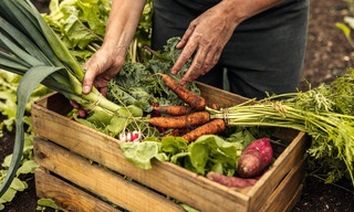 Hofgeschichten - Ackern zwischen Alpen und Ostsee