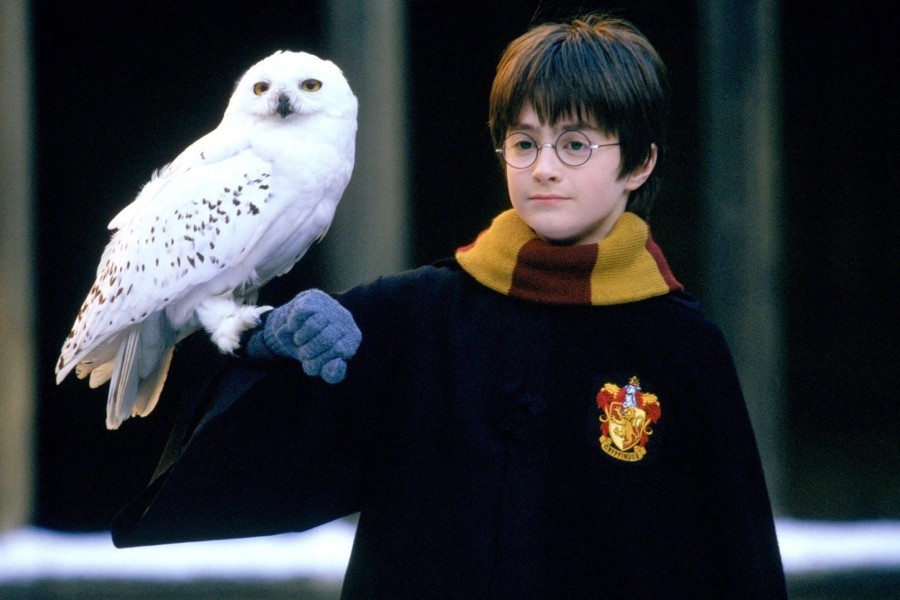 Harry Potter and the Philosopher's Stone