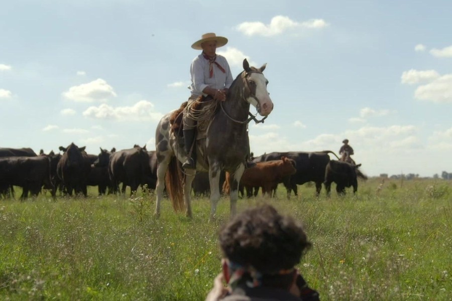 Het Perfecte Plaatje Op Reis