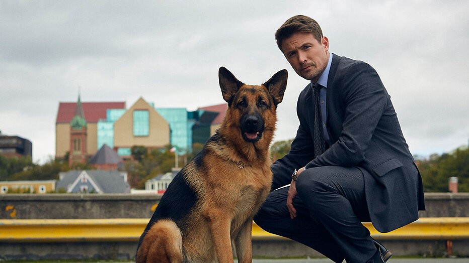 Je kunt nu genieten van de populaire politieserie Hudson & Rex bij BBC NL