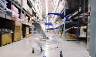 Ikéa, le saigneur des forêts