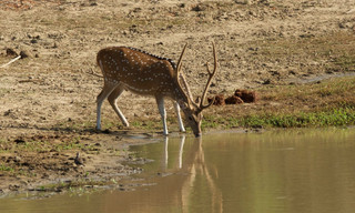 Island of the Monsoon