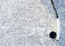 IJshockey: Duitse ijshockeybond