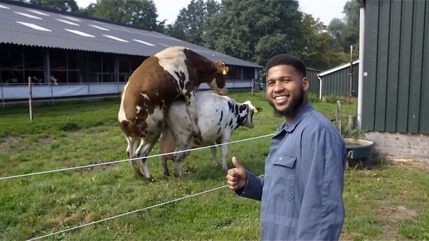 Van Voorst naar Spijkenisse