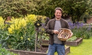 Jamie Oliver: Seasons