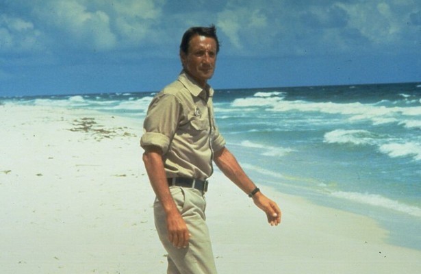 Roy Scheider in Jaws 2