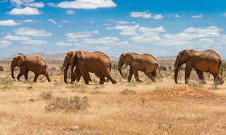 Kenias Norden: Jenseits von Safari