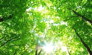 Klima Update Spezial