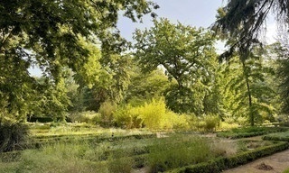 Königliche Gärten - Der Königliche Botanische Garten von Madrid