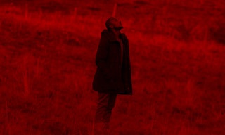 Le mot je t'aime n'existe pas