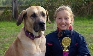 Liebste Fellnasen - Abenteuer Hundeschule