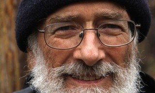 Lost beasts of the ice age