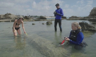 Lost treasures of the Bible