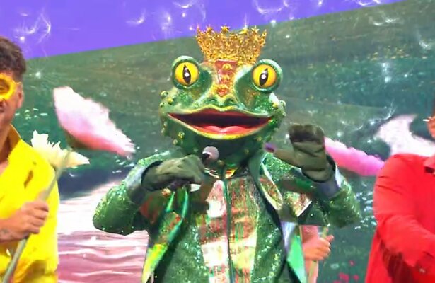 De Kikker klinkt als de zanger...