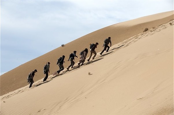 Overleven in de Schroei