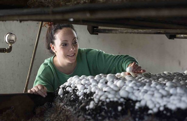 Drugsafval gevonden op boerderij Michelle van Boer Zoekt Vrouw