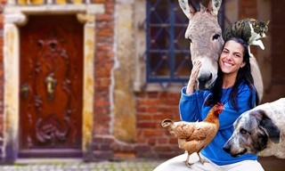 Märchenreise: Der Froschkönig