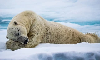 Mindful escapes: Breathe, release, restore