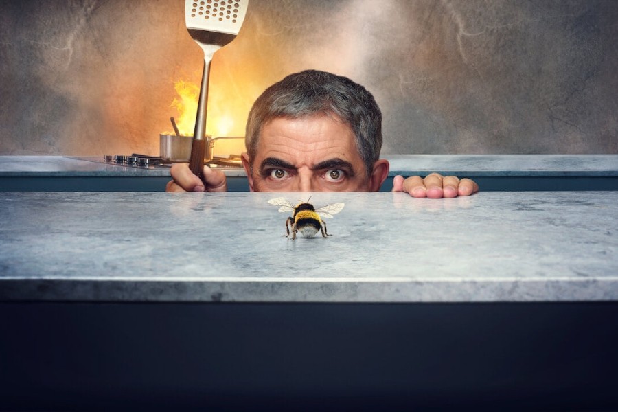 Man vs Bee