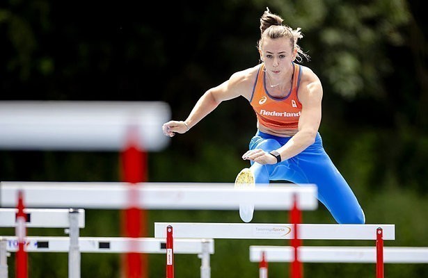 Toppers op de horden