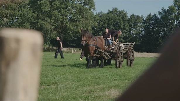 Wennen aan het boerenleven