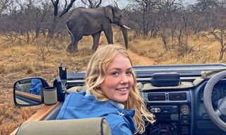 Nina und die wilden Tiere