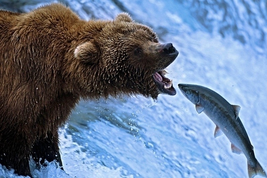 Nature's Great Events