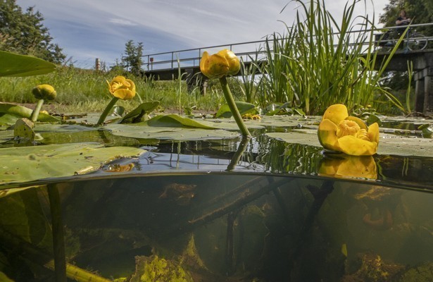 Nederland onder Water