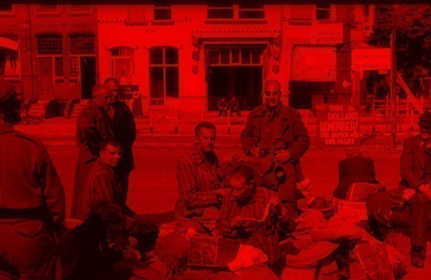 Nederlandse Joden na de Bevrijding - Terug naar Niets, Niemand, Nergens