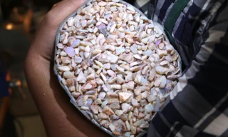 Outback opal hunters