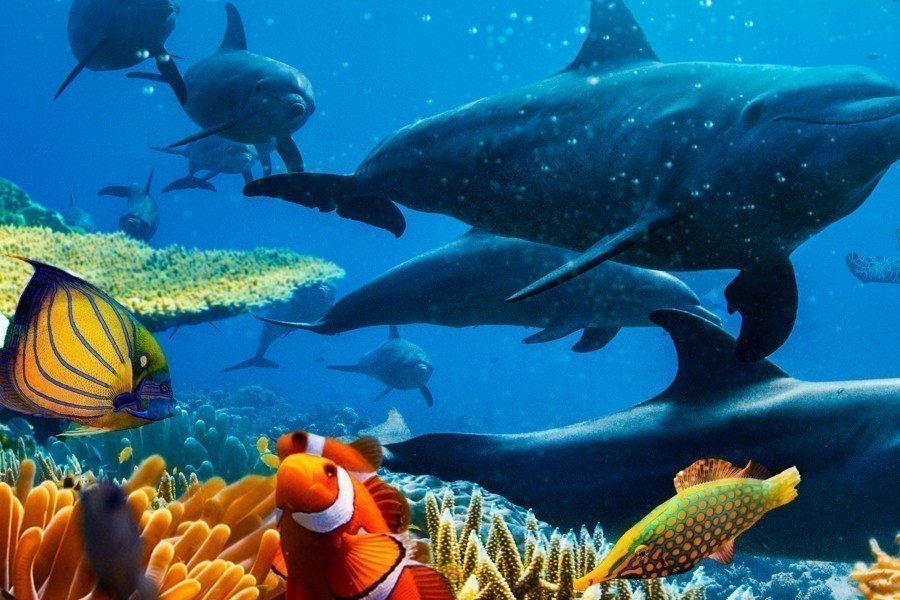 Ocean with David Attenborough