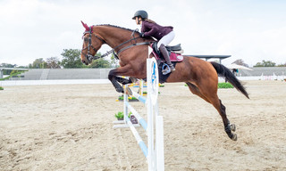 Paardensport: Grand Slam Tournament 's Hertogenbosch