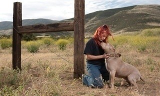 Pit bulls and parolees