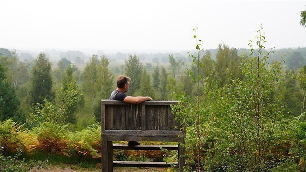 Op ontdekkingstocht in eigen land