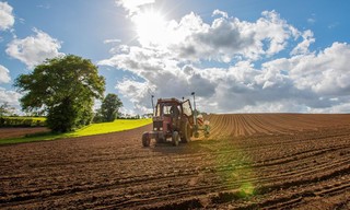 Re: Junge Franzosen übernehmen alte Höfe
