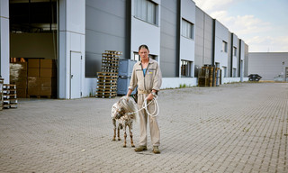 Retoure - Hinter den Kulissen