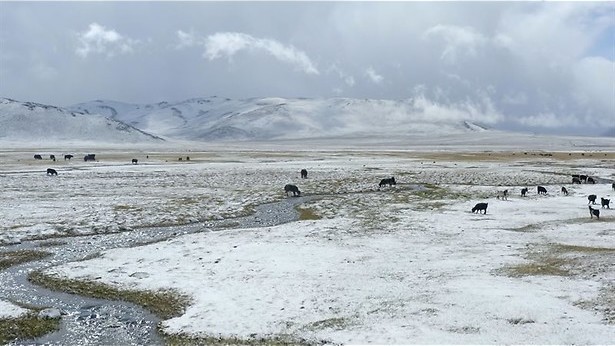 IJskoude ontdekkingen